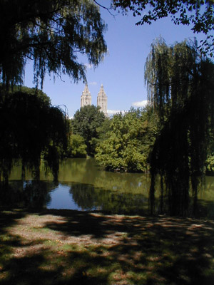 vue interne de Central Park